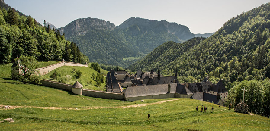 Chartreuse: How This Centuries-Old Liqueur Made Its Comeback