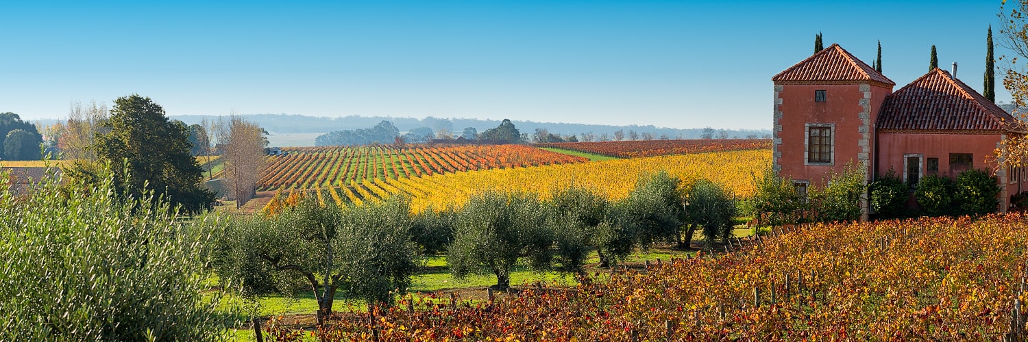 The 2024 Picardy Chardonnay: Sold Out at the Winery, Available Here