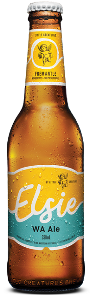 Elsie Ale 330mL Carton