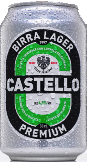 Birra 330mL Carton