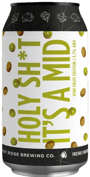 Holy Shit Its a Mid Plum Gose 4 Pack