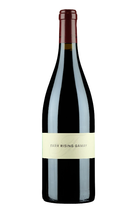 Rising Gamay