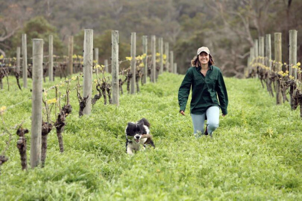 Shepherd’s Hut Wines Masterclass