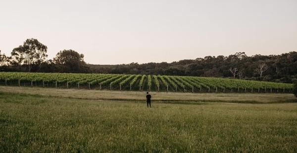 L.A.S. Vino Margaret River