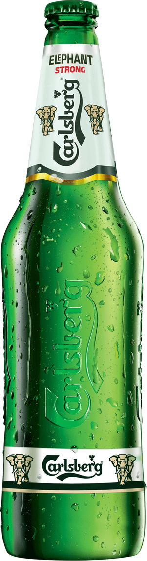 Elephant Lager 330mL Carton