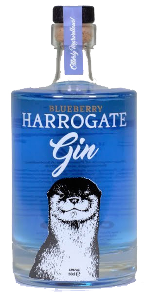 Blueberry Gin