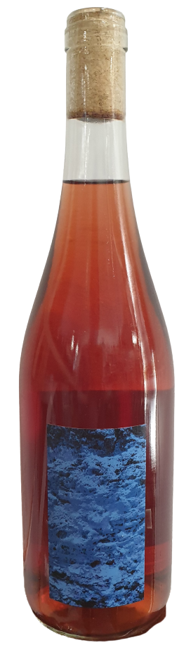 Bitsa Rose