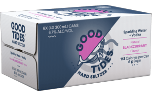 Seltzer Blackcurrant Carton