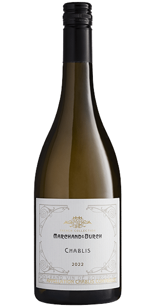 Chablis 2022
