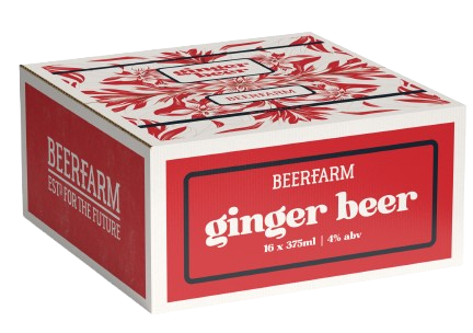 Ginger Beer Cube 16 Pack